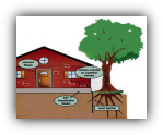 do not let tree roots ruin your home life
